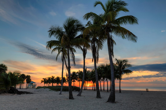 Ocean beach and palm trees at Sunrise in Key Biscayne, Florida