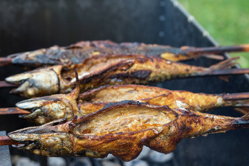 Closeup view of grilled fish mackerel with spices on campfire