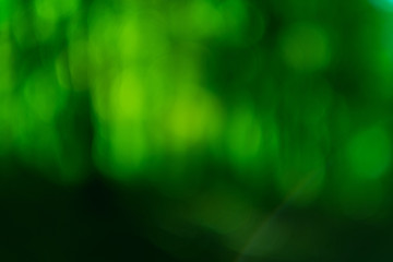 Green bokeh lights. Blur lens flare. Defocused glow design. Abstract art background.
