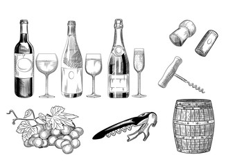 Set of wine. Hand drawn of wine glass, bottle, barrel, wine cork, corkscrew and grapes.
