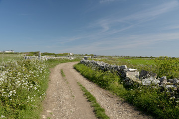 Coastal footpath on Portland Bill near Weymouth on the Dorset coast