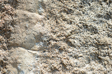Texture of rocks on the seashore close-up. Natural stone background