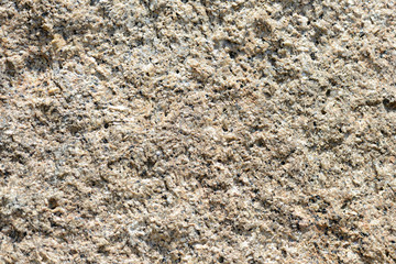 Texture of rocks on the seashore close-up. Natural stone background