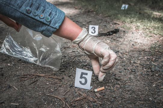 Investigator Collects Evidence - Crime Scene Investigation