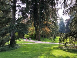 Arboretum (Tree Collection or Baumsammlung), (Flower Island Mainau on the Lake Constance or Die...