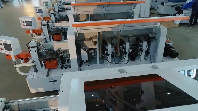 Big maple in the park, green big maple, Maple leaves sway in the wind