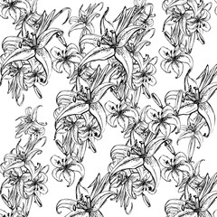  Liliya flower  white and black background. Vector vintage pattern. Vector illustration bright design.