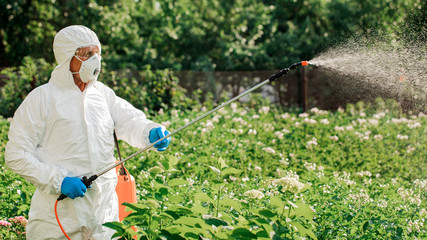 Worker sprays organic pesticides on plants