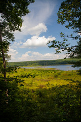 View Of Lake From Just Above Shoreline, Landscape Photo