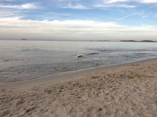 beach and sea