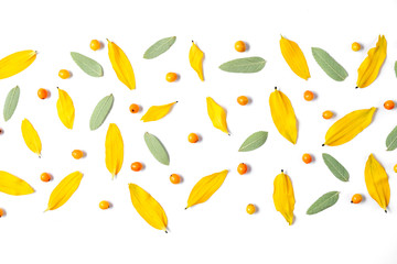 Autumn composition. Pattern made of leaves and rowan on white background. Autumn, fall, thanksgiving day concept. Flat lay, top view, copy space.