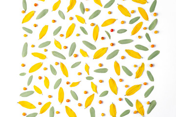 Autumn composition. Pattern made of leaves and rowan on white background. Autumn, fall, thanksgiving day concept. Flat lay, top view, copy space.