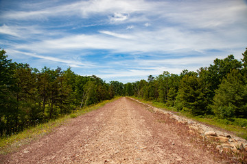 Fototapeta na wymiar Dirt Road Leading To Back Woods - Country Road