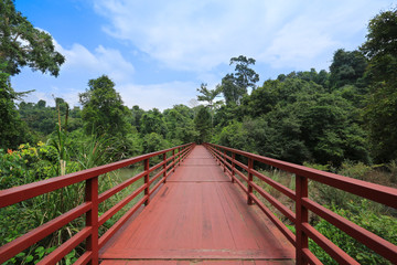 image of walkway with nature and mountain at National Park in Thailand