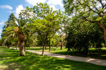 Turia Park in Valencia