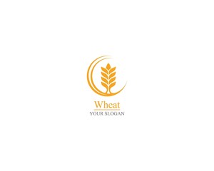 Agriculture wheat Logo Template vector icon design