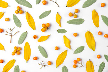 Autumn creative composition. Wreath made of leaves and rowan on white background. Autumn, fall, halloween, thanksgiving day concept. Flat lay, top view, copy space