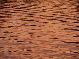 Golden water the sun paints the sea surface in golden color background