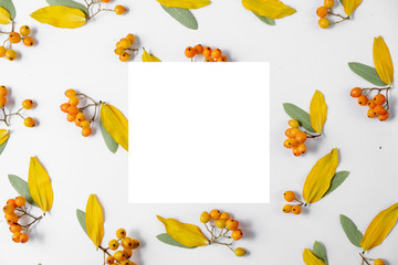 Autumn creative composition. Yellow leaves, rowan and white frame on gray background. Autumn, fall, halloween, thanksgiving day concept. Flat lay, top view, copy space