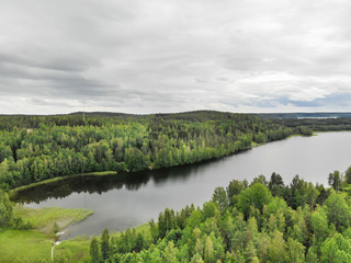 Aerial view of lake and green forest on a summer day in Finland. Drone photography