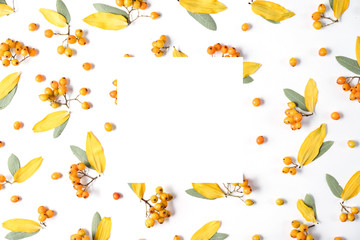 Autumn creative composition. Wreath made of leaves and rowan on white background. Autumn, fall, halloween, thanksgiving day concept. Flat lay, top view, copy space