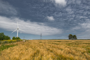 Windmill in field at summer 