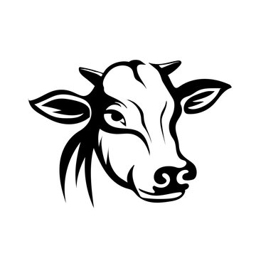 Clare Cow Clip Art  Cow Face Drawing Easy PNG Image  Transparent PNG Free  Download on SeekPNG