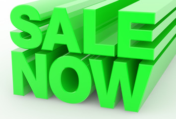 SALE NOW word on white background illustration 3D rendering