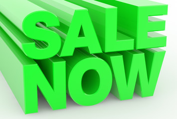 SALE NOW word on white background illustration 3D rendering