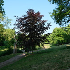 Kittendorf Park 009