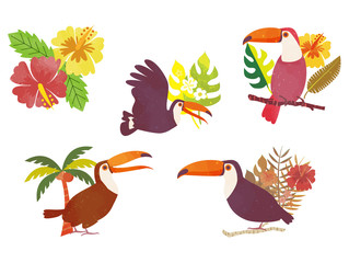 オオハシとハイビスカス © ken