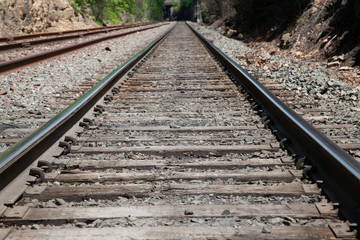 Fototapeta na wymiar Straight Line Railroad Tracks - Vanishing Point Perspective