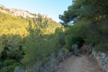 The desert of the palms in benicasim, Costa azahar