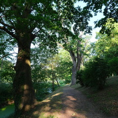 Kittendorf Park Diverse