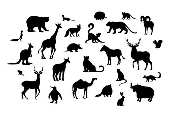 Set of animal silhouettes. Armadillo camel deer echidna impala numbat okapi quoll raccoon urial vole weasel xerus lemur