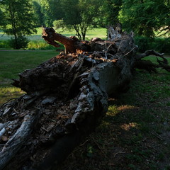 Kittendorf Park Diverse
