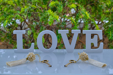 Two gold keys with silk tassels.  In the background inscription word love in white color on the background tree.