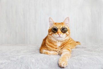 Closeup portrait of funny red cat wearing sunglasses, lying on a bed and looking straight ahead...