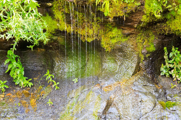Ecology and nature. The source of clean drinking spring water among stone rocks and moist fresh green moss. Spring 
