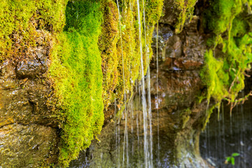 Ecology and nature. The source of clean drinking spring water among stone rocks and moist fresh green moss. Spring 