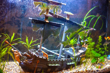 Sunken ship at the bottom of the aquarium. An old ship in an aquarium for fish. Home decoration. Sailing ship crashed. © Олег Копьёв