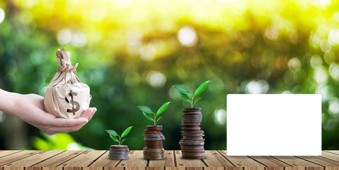 Saving money for growing business and future concept