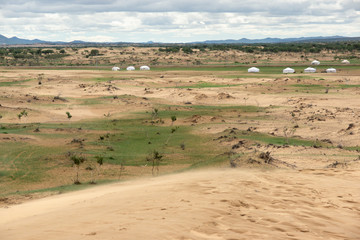 Sand in mongolian desert and some grass