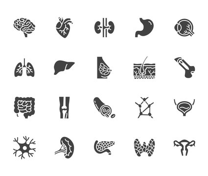 Organs, anatomy flat glyph icons set. Human bones, stomach, brain, heart, bladder, nervous system vector illustrations. Signs for medical clinic. Silhouette pictogram pixel perfect 64x64