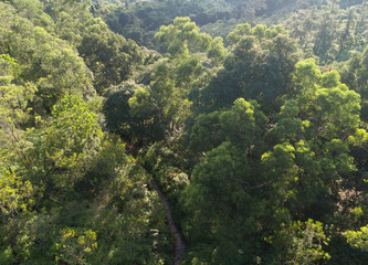 Naklejka na ściany i meble Aerial view of trail in mountains with green dense tropical rainforests in the sunrise