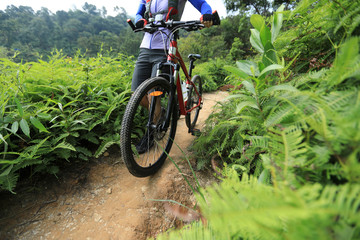 Fototapeta premium Cross country biking woman cyclist walking with mountain bike on tropical forest trail