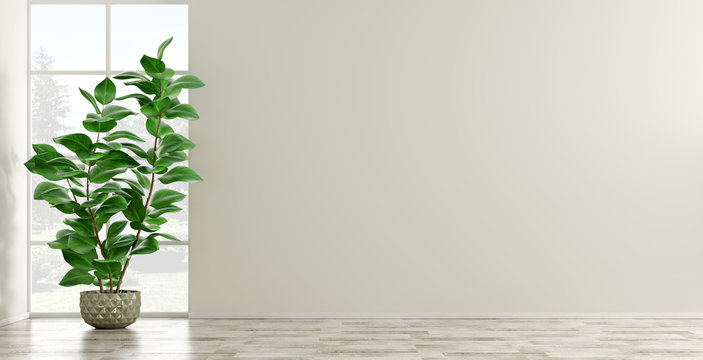 Empty interior background with plant 3d render