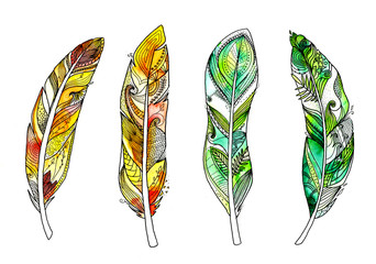 Watercolour doodle feather