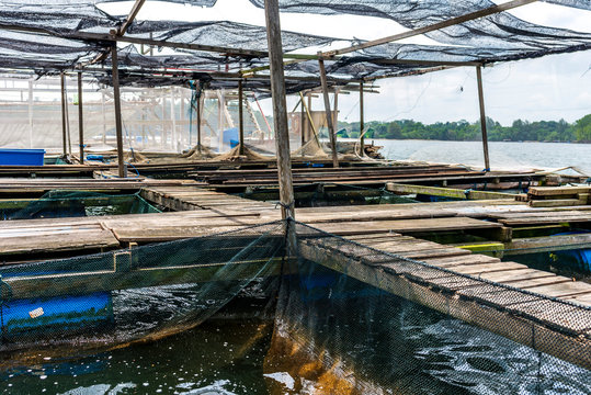 Fish farm of fishing nets equipments during day
