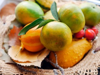  Bright ripe tangerines and pumpkins in a straw basket, concept of autumn harvest, healthy nutrition